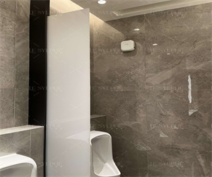 卫生间除味剂的优点 卫生间除味剂的优点