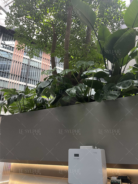 空间香氛 空间香氛