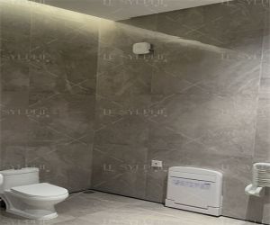 厕所除味剂 厕所除味剂