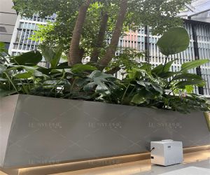 无火香薰精油 无火香薰精油