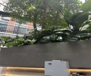 空间香氛系统 空间香氛系统