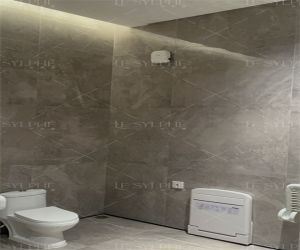 厕所卫生间除味剂