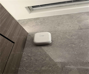 进口无火香薰 进口无火香薰